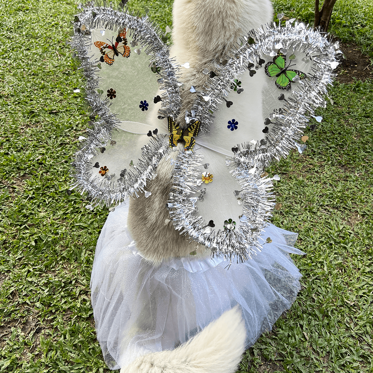 Disfraz Para Mascotas De Ángel Blanco Alas Tutú Halloween Fiesta Disfraces OF-1500PET