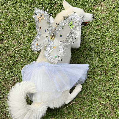 Disfraz Para Mascotas De Ángel Blanco Alas Tutú Halloween Fiesta Disfraces OF-1500PET