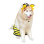 Disfraz Para Mascota De Abeja Halloween OF-1511APET