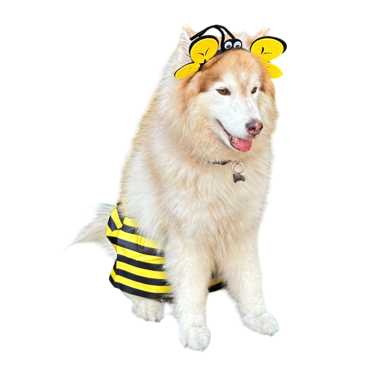 Disfraz Para Mascota De Abeja Halloween OF-1511APET