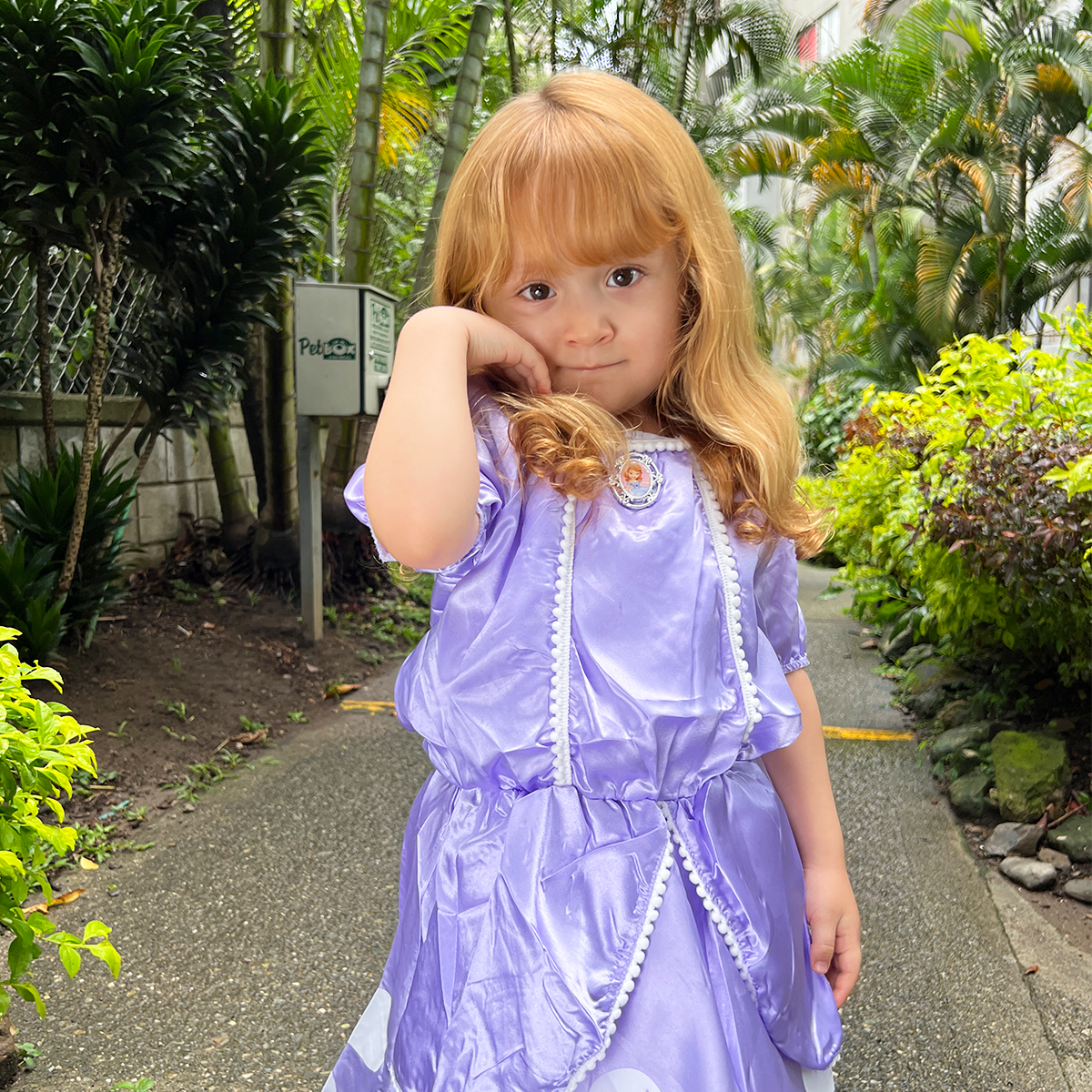 Disfraz De Princesa Sofia Para Niñas Halloween WZ-3