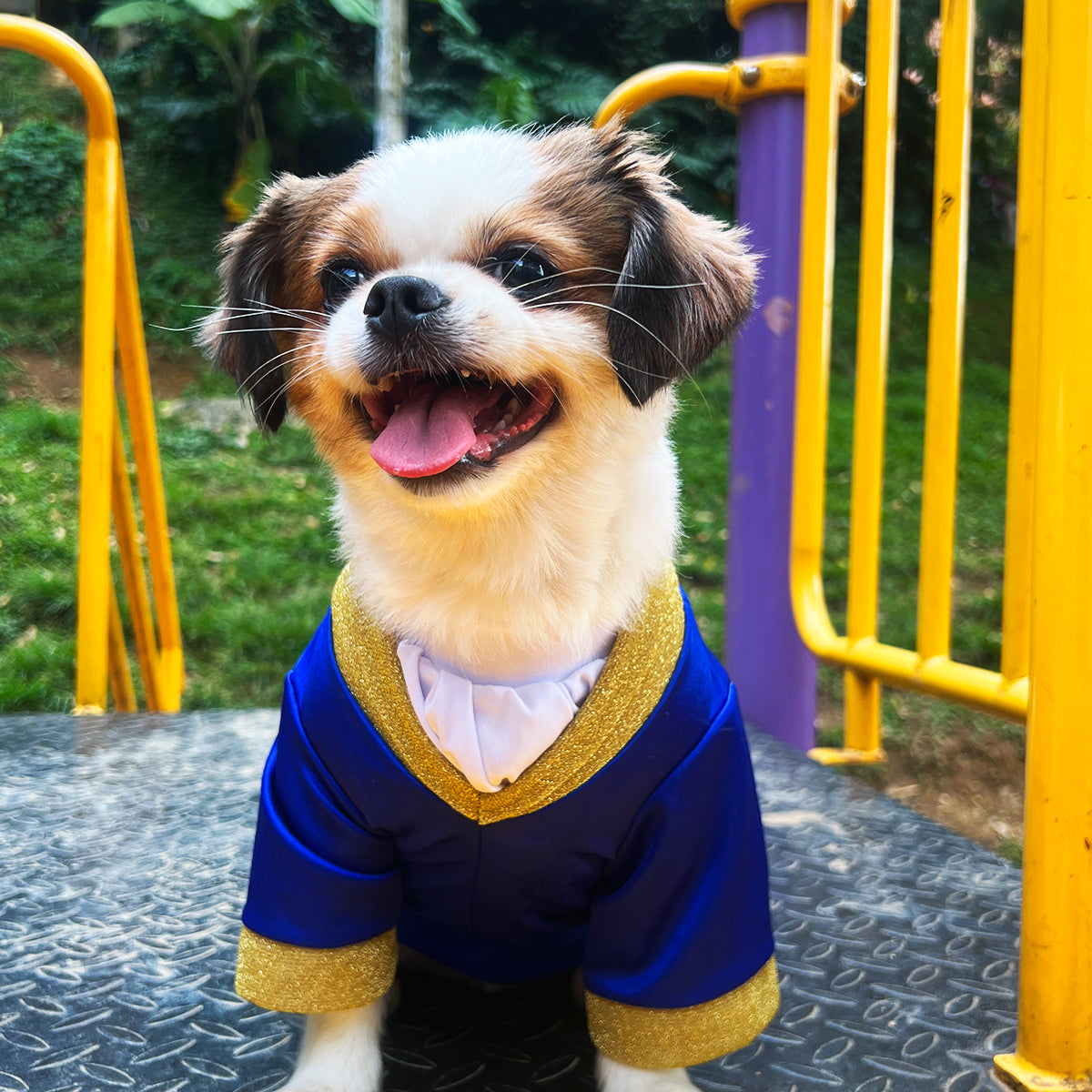 Disfraz Para Mascotas De Príncipe Azul Elegante Halloween DPAM-01