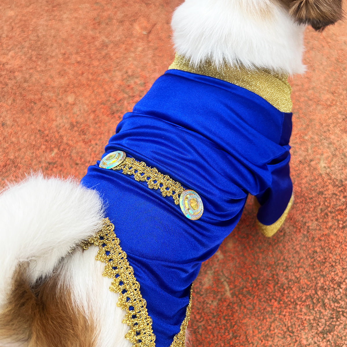 Disfraz Para Mascotas De Príncipe Azul Elegante Halloween DPAM-01