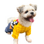 Disfraz Para Mascotas Woody Toy Story Halloween DWTS-01