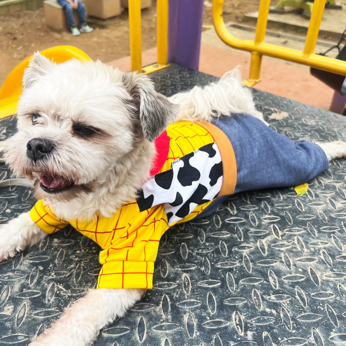 Disfraz Para Mascotas Woody Toy Story Halloween DWTS-01