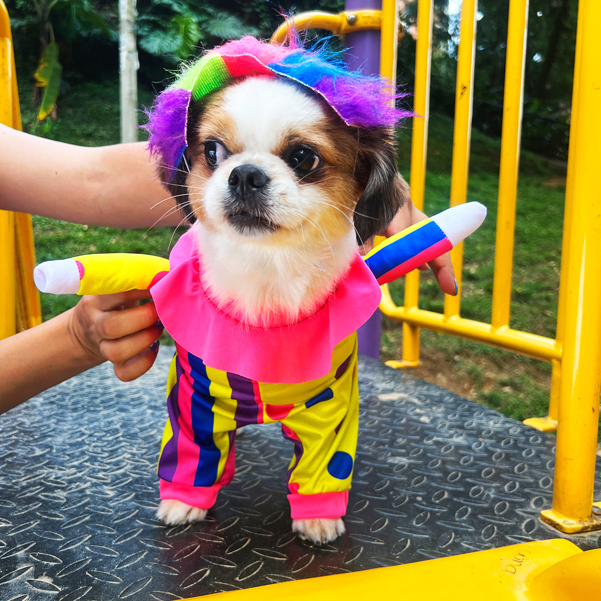 Disfraz Para Mascotas Payasito Halloween DPMP-01