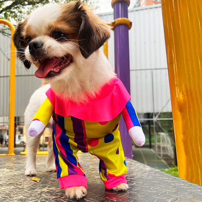 Disfraz Para Mascotas Payasito Halloween DPMP-01