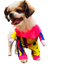 Disfraz Para Mascotas Payasito Halloween DPMP-01