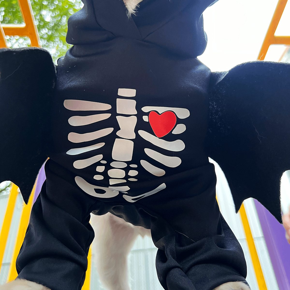 Disfraz Para Mascotas De Murciélago Esqueleto Halloween DMM-02