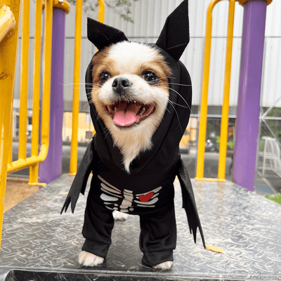 Disfraz Para Mascotas De Murciélago Esqueleto Halloween DMM-02