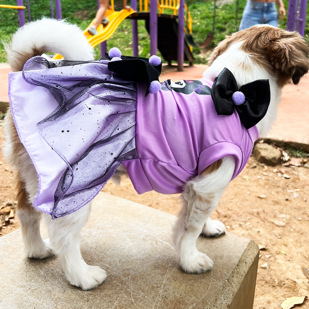 Disfraz Para Mascotas Kuromi Halloween DPMK-01