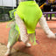 Disfraz Para Mascotas Hada Verde Halloween DMHV-01