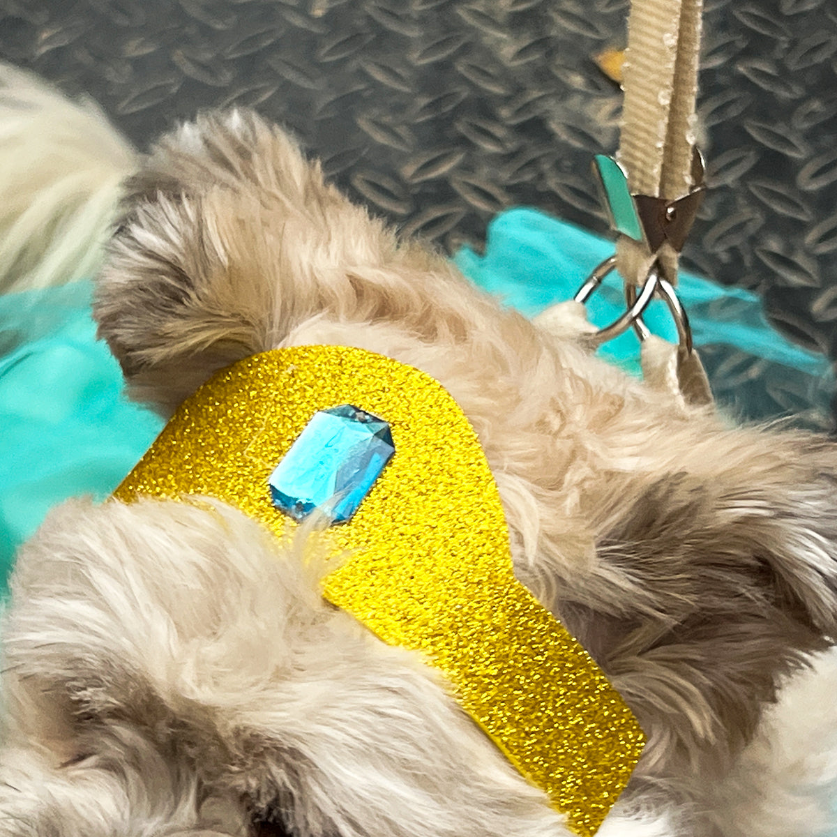 Disfraz Para Mascotas De Princesa Jasmine Halloween DMJ-013