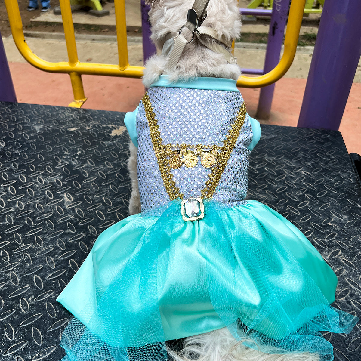Disfraz Para Mascotas De Princesa Jasmine Halloween DMJ-013