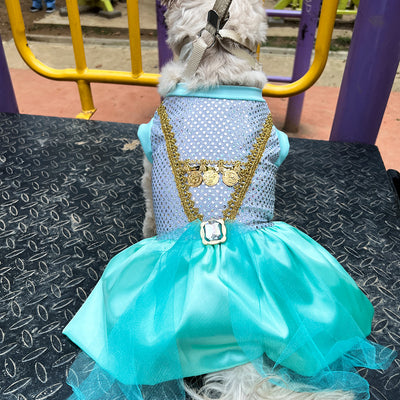 Disfraz Para Mascotas De Princesa Jasmine Halloween DMJ-013