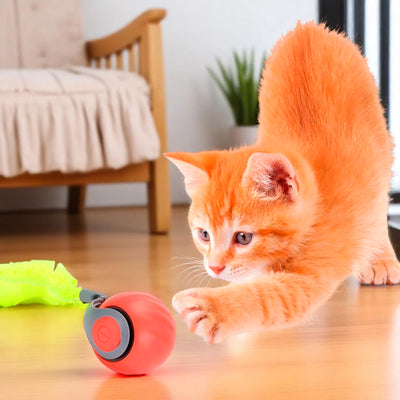 Pelota Interactiva Juguete Para Gatos Recargable Automática PTZ-23-2