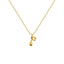 Cadena Con Dije Baño De Oro Collar Inicial Letra Colgante CBF01