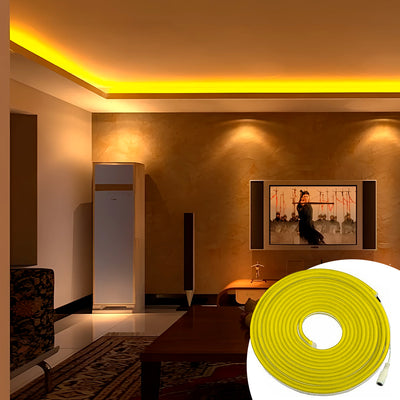 Manguera Luz Led Neón 5 Metros Tira Flexible AD-12