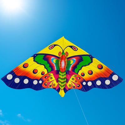 Cometa Infantil Papagayo Colorida Fácil De Volar Figuras Juegos COM-1