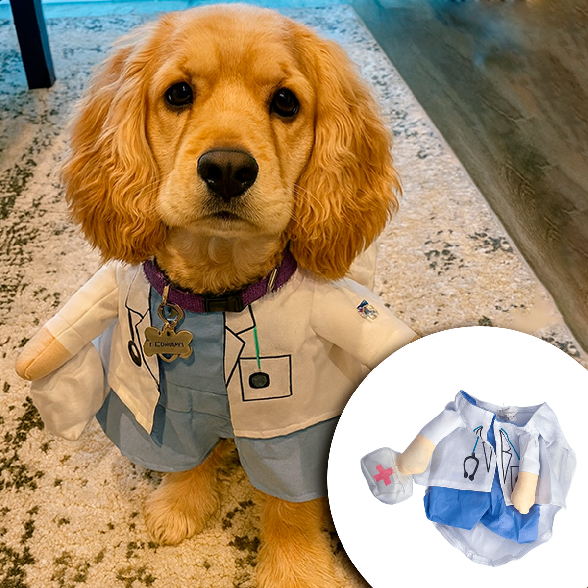 Disfraz Para Mascotas De Doctor Halloween Doctora PR396