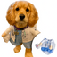 Disfraz Para Mascotas De Doctor Halloween Doctora PR396