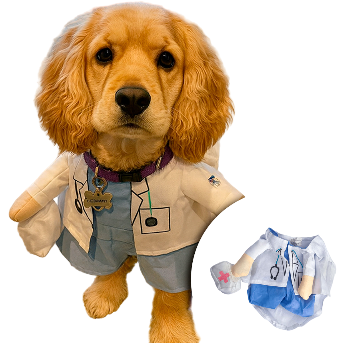 Disfraz Para Mascotas De Doctor Halloween Doctora PR396