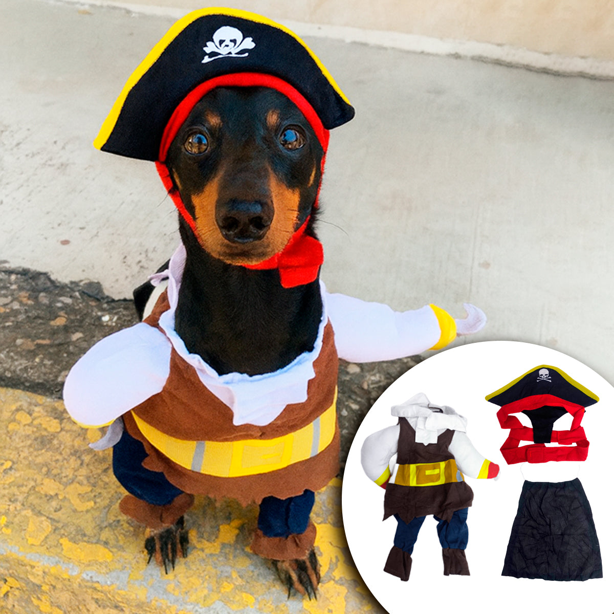 Disfraz Para Mascotas De Pirata Halloween PR395