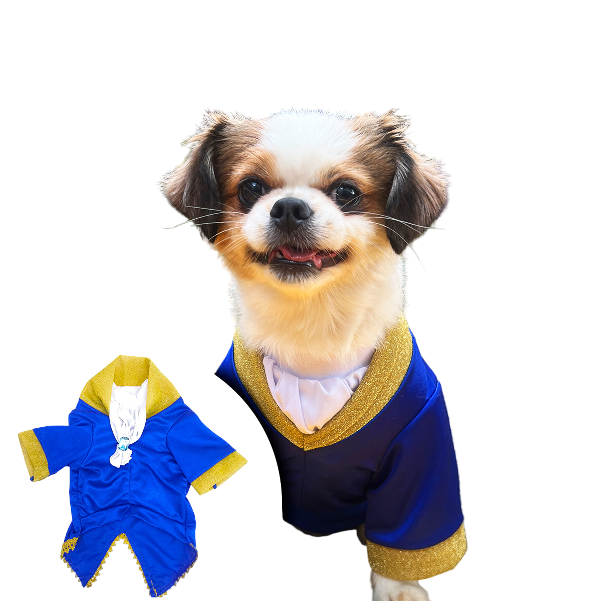 Disfraz Para Mascotas De Príncipe Azul Elegante Halloween DPAM-01