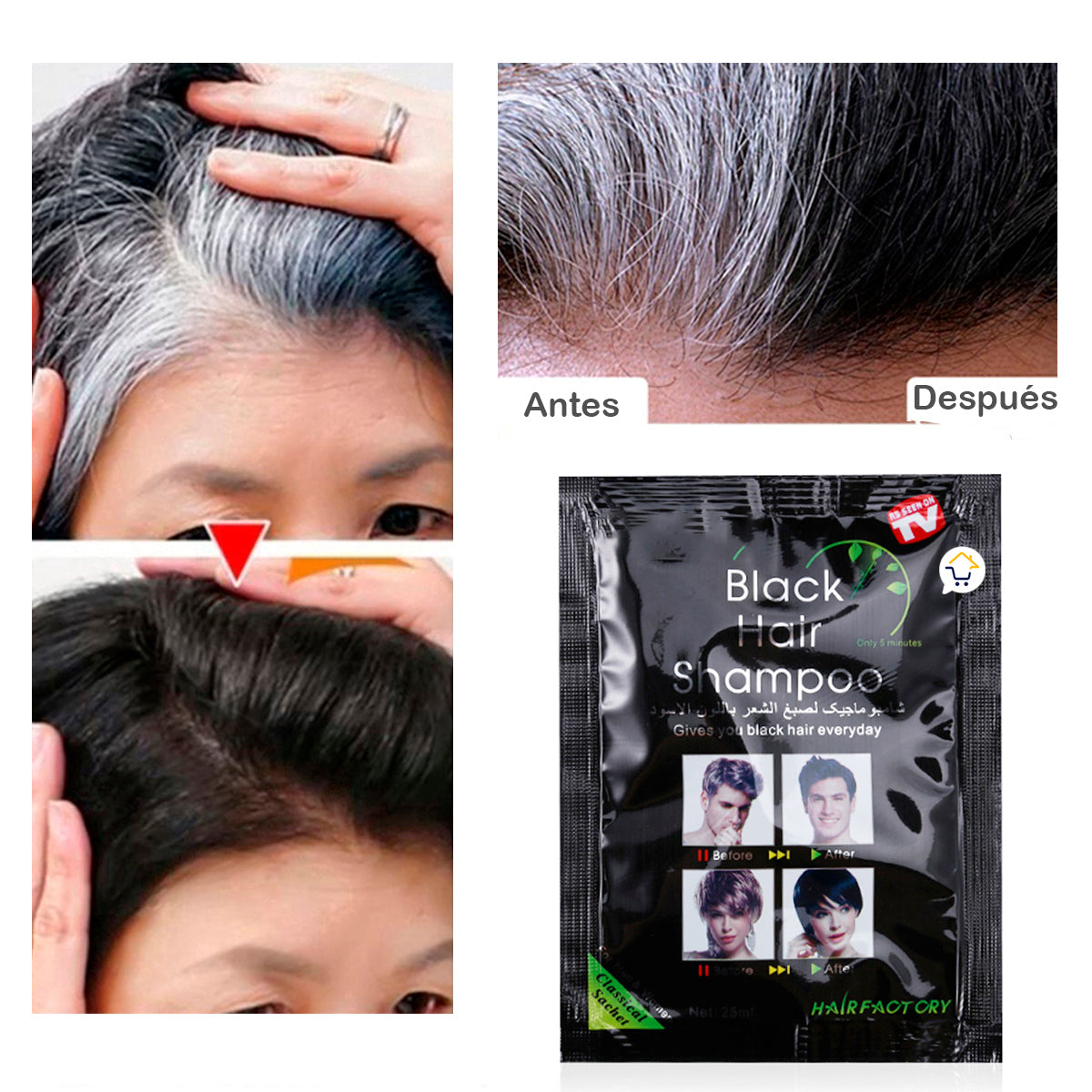 Shampoo Cubre Canas Sobres x10 Tinte Negro 312028