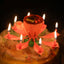 Vela Flor Mágica Cumpleaños Aniversarios Flor Decorativa A-1