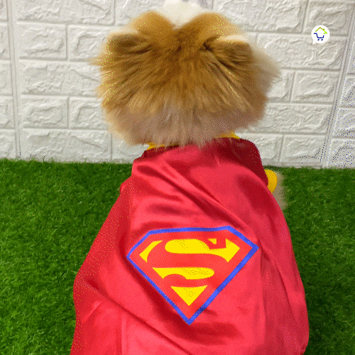 Disfraz Superhéroe Para Perro Gato Mascotas Halloween GD01SUPERM