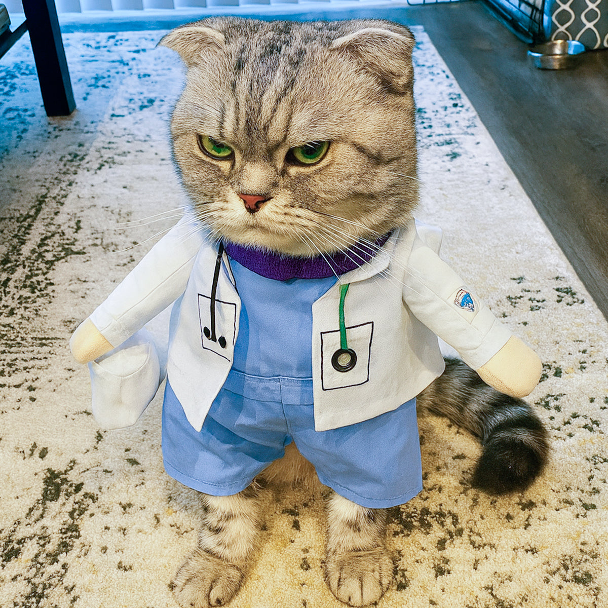 Disfraz Para Mascotas De Doctor Halloween Doctora PR396