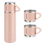 Set Termo Térmico 500ml Acero Inoxidable con 3 Tazas y Estuche NG0181