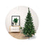 Árbol Navidad Pomposo Tupido 1.50m 240 Ramas Fexton150