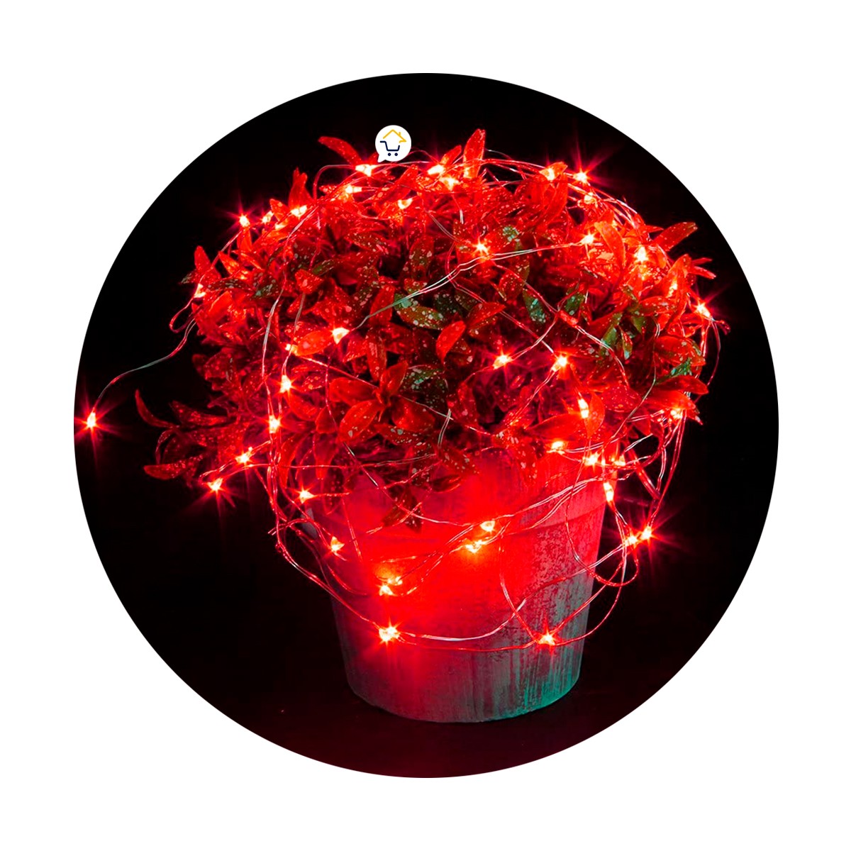 Extensión Micro LED Lineal 20 m 200 Luces Navidad Rojo 1555