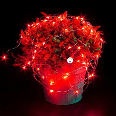 Extensión Micro LED Lineal 10m 100 Luces Navidad Rojo 1545C