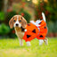 Disfraz Perro Gato Mascotas Picapiedra Halloween GY003PIC