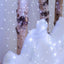 Luces Micro Led Decoración Luz Navidad X 100 Luces Blanca