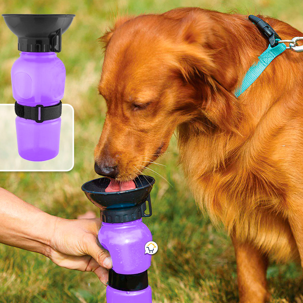 Bebedero Agua Portátil Mascotas Dispensador Termo Perros RF 0015